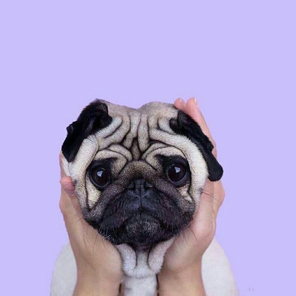 Meet your Posher, Argyll - Picture 1 of 1